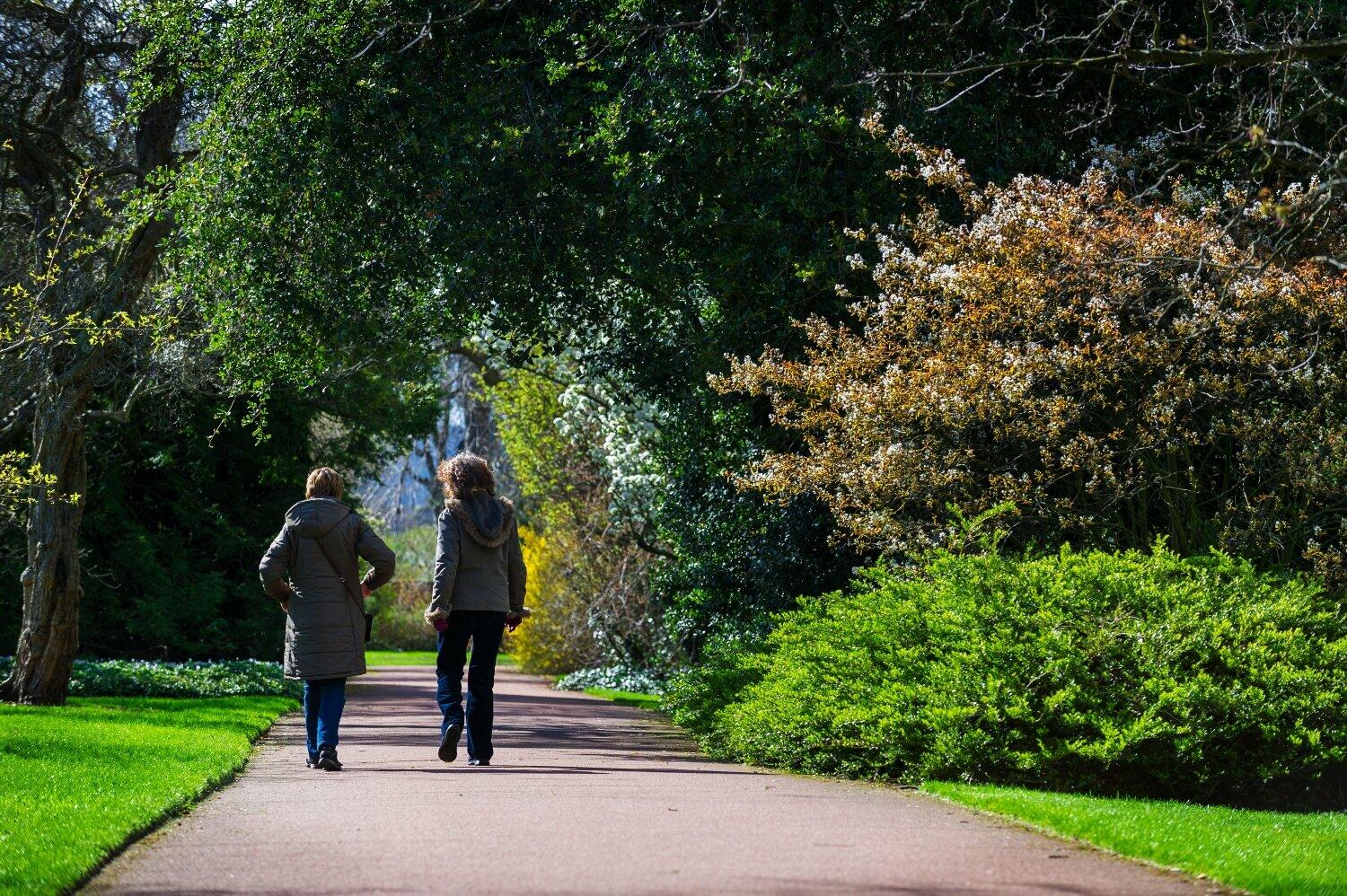 Why Walking and Talking Therapy is Becoming so Popular